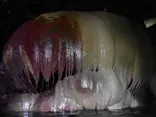 宮古島 ADVENTURE PiPi（ミヤコジマ アドベンチャー ピピ）に投稿された画像（2026/9/25）