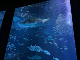 マリンワールド海の中道に投稿された画像（2026/9/25）