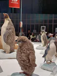 大南極展に投稿された画像（2026/9/25）