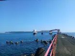 串本海中公園水族館に投稿された画像（2026/9/25）