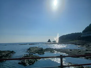 串本海中公園水族館に投稿された画像（2026/9/25）