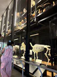 天王寺動物園に投稿された画像（2026/9/26）