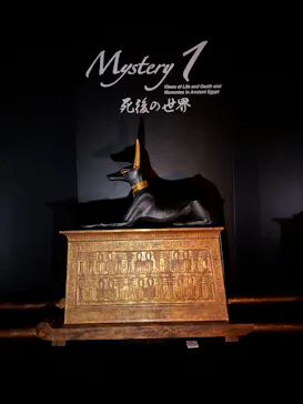 MYSTERY OF TUTANKHAMEN 体感型古代エジプト展に投稿された画像（2026/9/25）