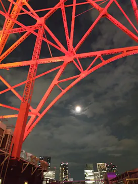 東京タワーに投稿された画像（2026/9/25）