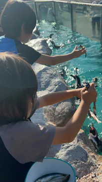 東武動物公園に投稿された画像（2026/9/25）
