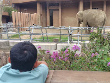 名古屋市東山動植物園に投稿された画像（2026/9/25）