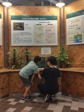 名古屋市東山動植物園に投稿された画像（2026/9/25）