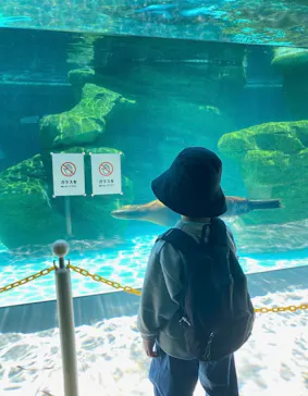 天王寺動物園に投稿された画像（2026/9/20）