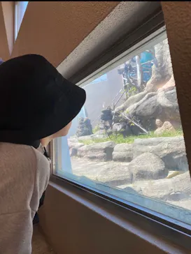 天王寺動物園に投稿された画像（2026/9/20）