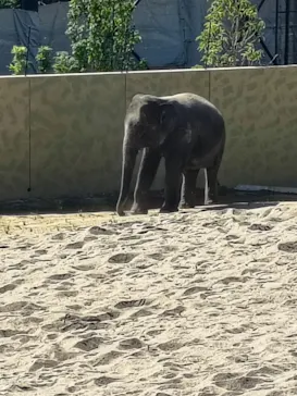 天王寺動物園に投稿された画像（2026/9/26）