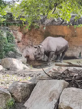 天王寺動物園に投稿された画像（2026/9/26）