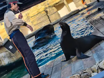 天王寺動物園に投稿された画像（2026/9/26）