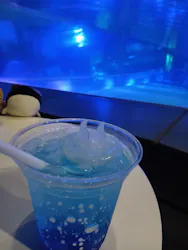 すみだ水族館に投稿された画像（2026/9/26）