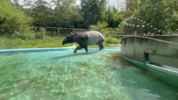 多摩動物公園に投稿された画像（2026/9/26）