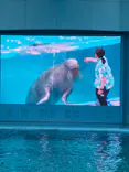横浜・八景島シーパラダイスに投稿された画像（2026/9/26）