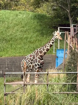 千葉市動物公園に投稿された画像（2026/9/26）