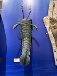 特別展　大絶滅展に投稿された画像（2026/9/26）