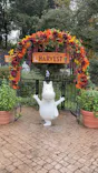 ムーミンバレーパークに投稿された画像（2026/9/26）