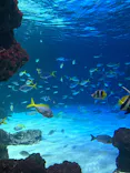 サンシャイン水族館に投稿された画像（2026/9/26）