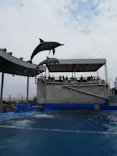 大分マリーンパレス水族館 「うみたまご」に投稿された画像（2026/9/26）