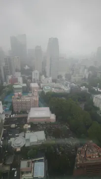 東京タワーに投稿された画像（2026/9/26）