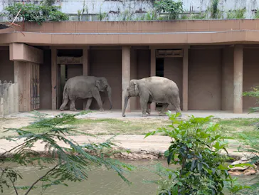 名古屋市東山動植物園に投稿された画像（2026/9/26）