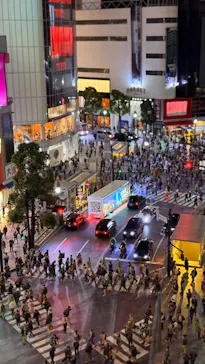 ミニチュアミュージアム スモールワールズに投稿された画像（2026/9/26）