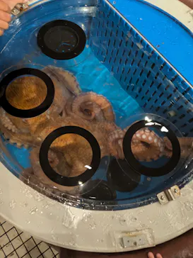 越前松島水族館に投稿された画像（2026/9/26）