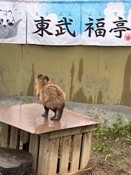 東武動物公園に投稿された画像（2026/9/26）