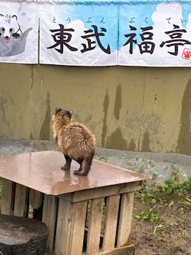東武動物公園に投稿された画像（2026/9/26）
