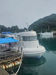 海陽町海洋自然博物館マリンジャムに投稿された画像（2026/9/26）