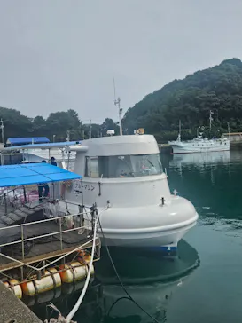 海陽町海洋自然博物館マリンジャムに投稿された画像（2026/9/26）