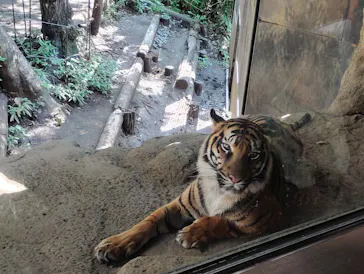 恩賜上野動物園に投稿された画像（2026/9/26）