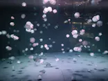 京都水族館に投稿された画像（2026/9/26）