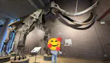ミュージアムパーク茨城県自然博物館に投稿された画像（2026/9/26）