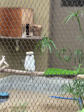天王寺動物園に投稿された画像（2026/9/26）