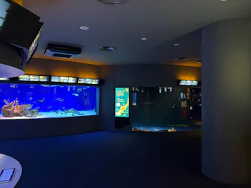 新江ノ島水族館に投稿された画像（2026/9/26）