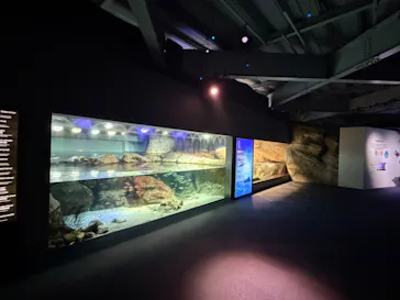 新江ノ島水族館に投稿された画像（2026/9/26）