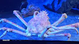 サンシャイン水族館に投稿された画像（2026/9/26）