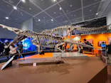 特別展　大絶滅展に投稿された画像（2026/9/26）