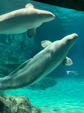 名古屋港水族館に投稿された画像（2026/9/26）
