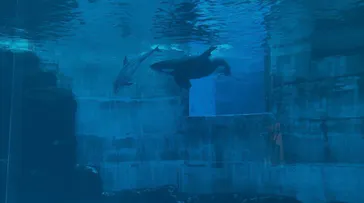 名古屋港水族館に投稿された画像（2026/9/26）