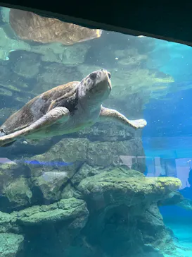 名古屋港水族館に投稿された画像（2026/9/26）