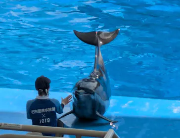 名古屋港水族館に投稿された画像（2026/9/26）