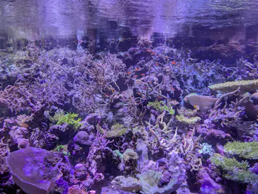 名古屋港水族館に投稿された画像（2026/9/26）