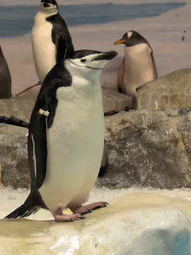 名古屋港水族館に投稿された画像（2026/9/26）