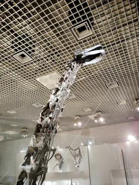 国立科学博物館に投稿された画像（2026/9/26）
