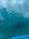 田沢湖アウトドアツアーに投稿された画像（2026/9/27）