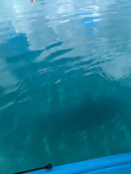 田沢湖アウトドアツアーに投稿された画像（2026/9/26）