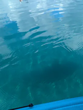 田沢湖アウトドアツアーに投稿された画像（2026/9/26）